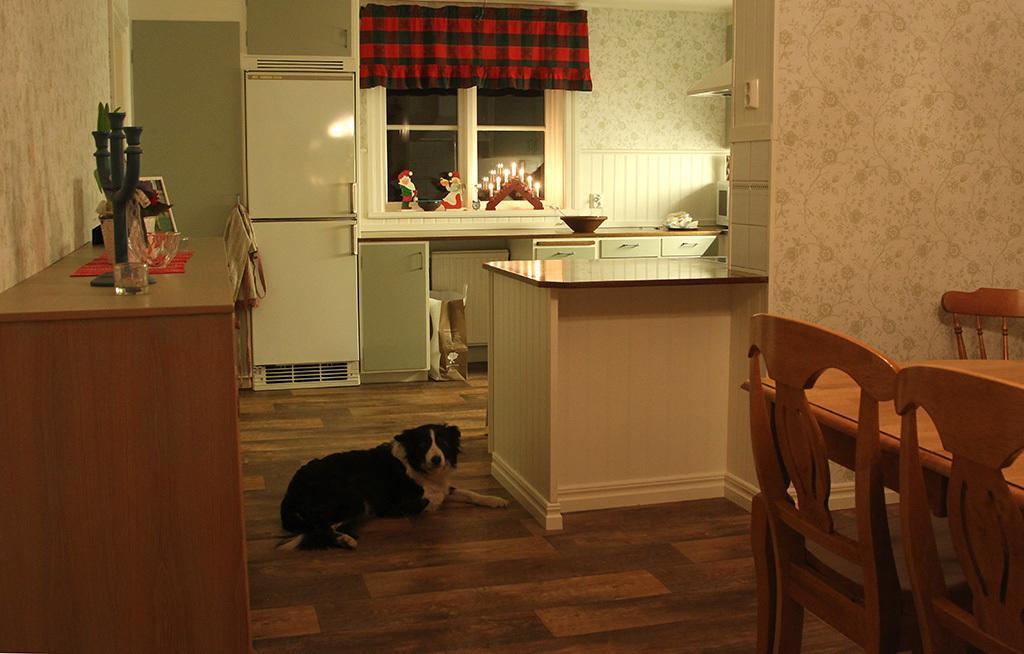 Hallebergs Bed&Breakfast Скара Экстерьер фото